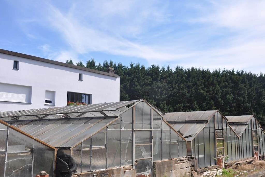 Gite St Nicolas Ancien Corps De Ferme Horticole Freyming-Merlebach ภายนอก รูปภาพ